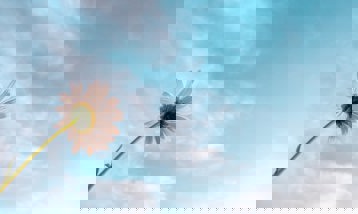 Billede tilknyt til nyheden om Forudsætningen for en fremtid