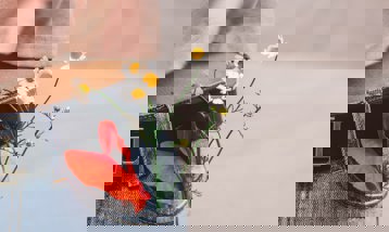 Billede tilknyt til nyheden om Hjælp os med at komme rigtigt ned i din lomme